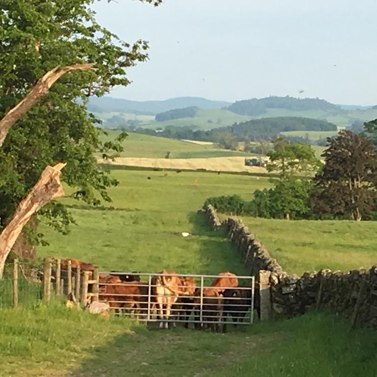 Chipperkyle Country House B&B Kirkpatrick Durham 외부 사진